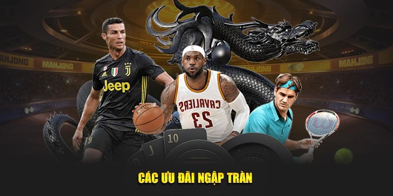 Các ưu đãi ngập tràn