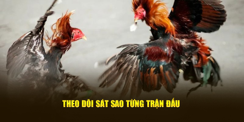 Theo dõi sát sao từng trận đấu